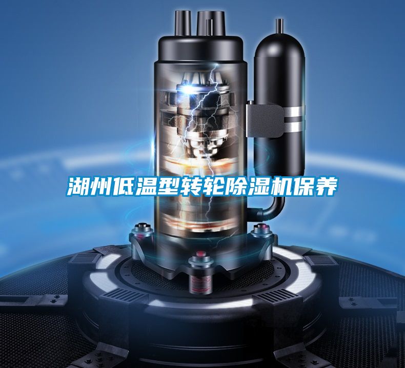 湖州低温型转轮粉色视频免费在线观看保养