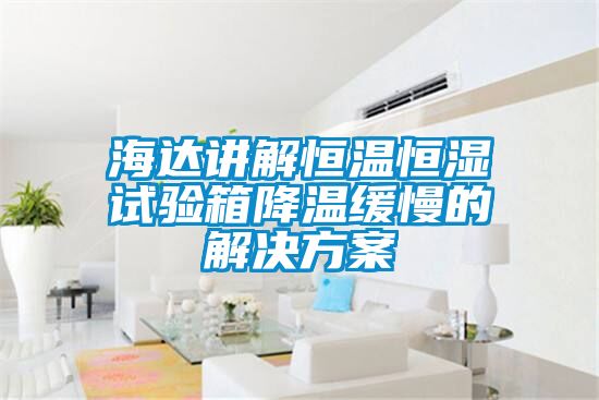 海达讲解恒温恒湿试验箱降温缓慢的粉色视频成人