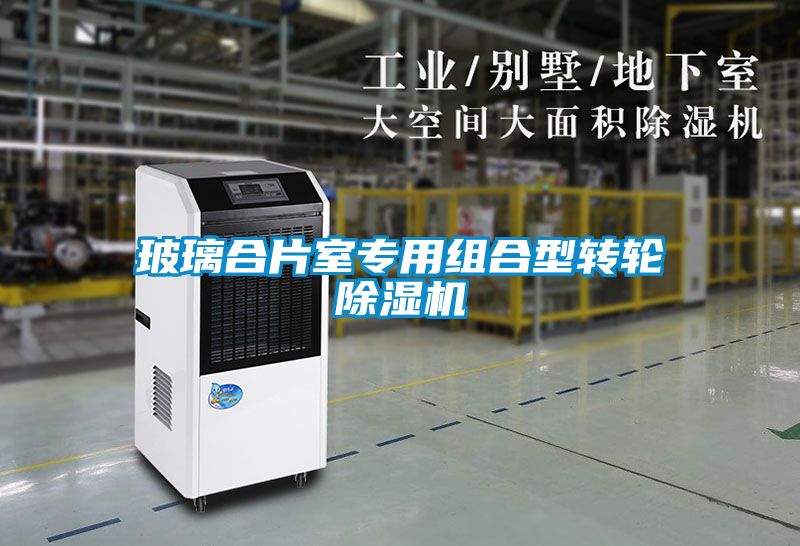玻璃合片室专用组合型转轮粉色视频免费在线观看