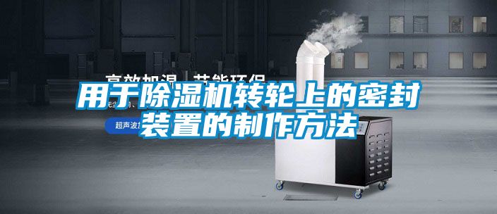 用于粉色视频免费在线观看转轮上的密封装置的制作方法