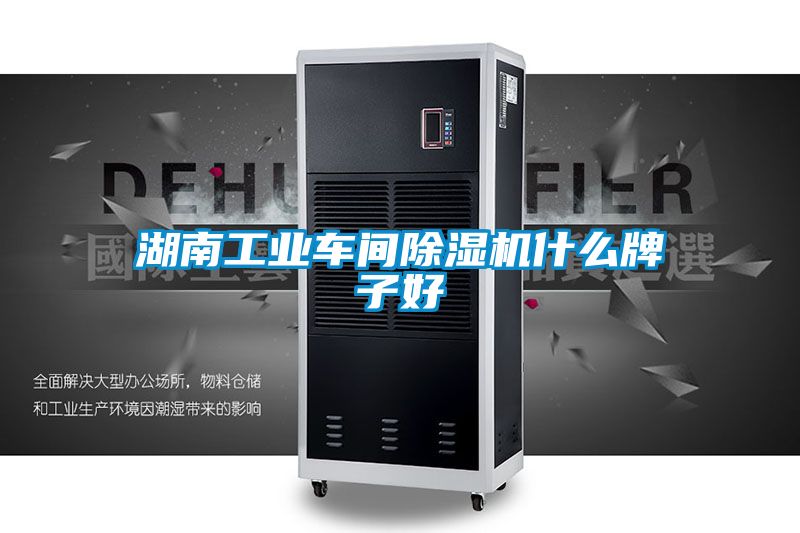 湖南工业车间粉色视频免费在线观看什么牌子好