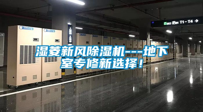 湿菱新风粉色视频免费在线观看---地下室专修新选择！