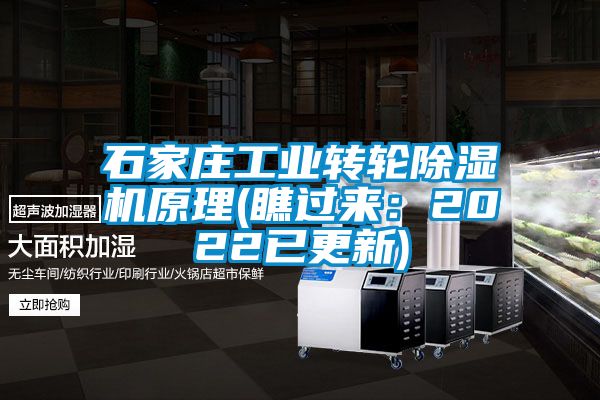 石家庄工业转轮粉色视频免费在线观看原理(瞧过来：2022已更新)