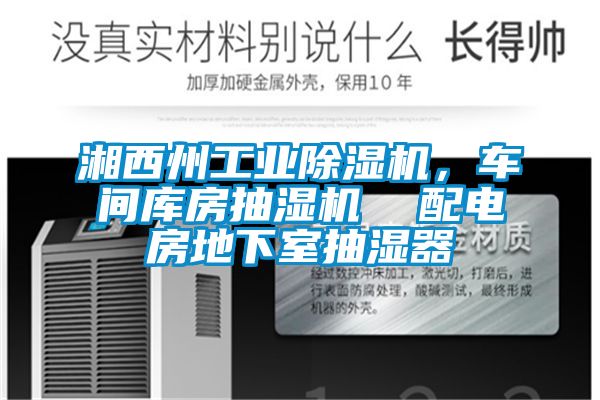 湘西州工业粉色视频免费在线观看，车间库房抽湿机  配电房地下室抽湿器