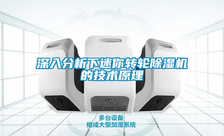 深入分析下迷你转轮粉色视频免费在线观看的技术原理