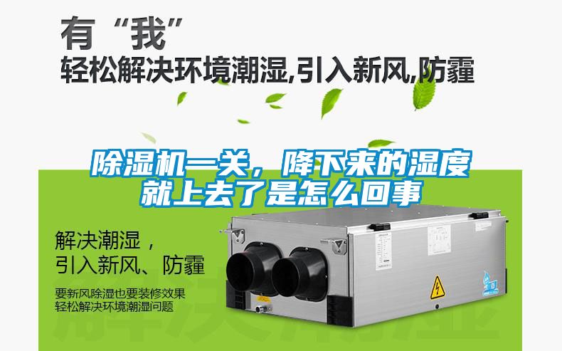 粉色视频免费在线观看一关，降下来的湿度就上去了是怎么回事