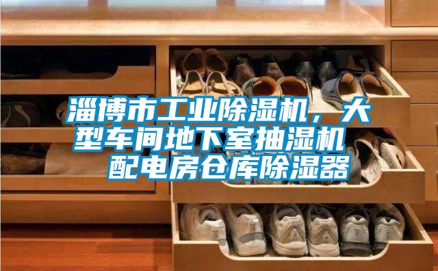 淄博市工业粉色视频免费在线观看，大型车间地下室抽湿机  配电房仓库除湿器