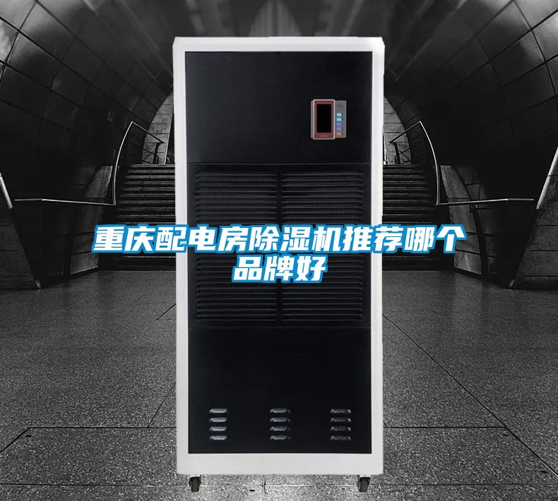 重庆配电房粉色视频免费在线观看推荐哪个品牌好