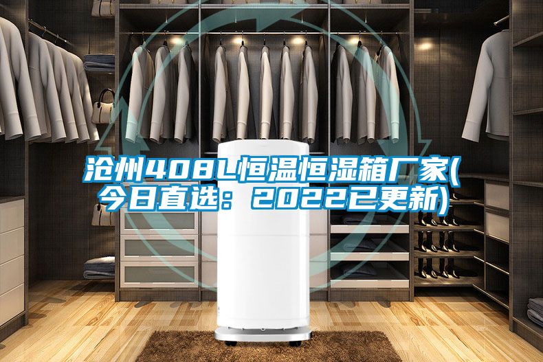沧州408L恒温恒湿箱厂家(今日直选：2022已更新)