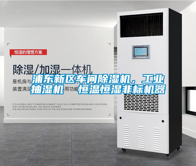 浦东新区车间粉色视频免费在线观看，工业抽湿机  恒温恒湿非标机器