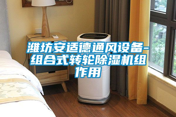 潍坊安适德通风设备-组合式转轮粉色视频免费在线观看组作用