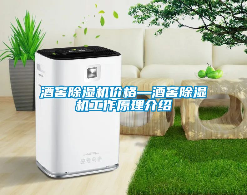 酒窖粉色视频免费在线观看价格—酒窖粉色视频免费在线观看工作原理介绍