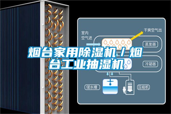 烟台家用粉色视频免费在线观看／烟台工业抽湿机
