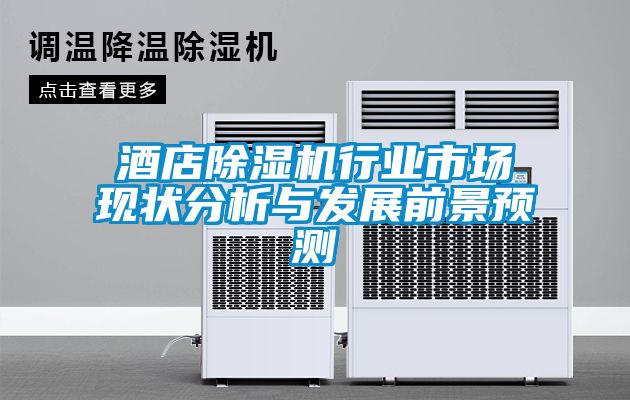 酒店粉色视频免费在线观看行业市场现状分析与发展前景预测