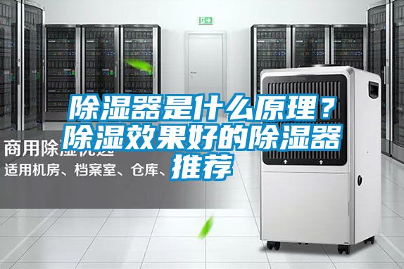 除湿器是什么原理？除湿效果好的除湿器推荐