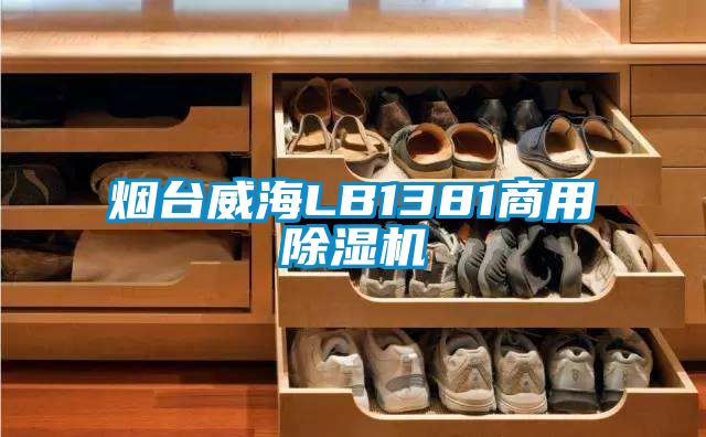 烟台威海LB1381商用粉色视频免费在线观看