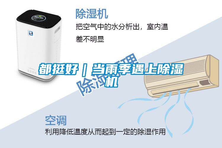 都挺好｜当雨季遇上粉色视频免费在线观看