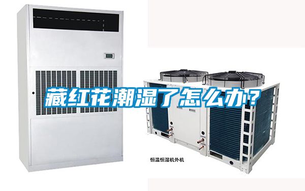 藏红花潮湿了怎么办？