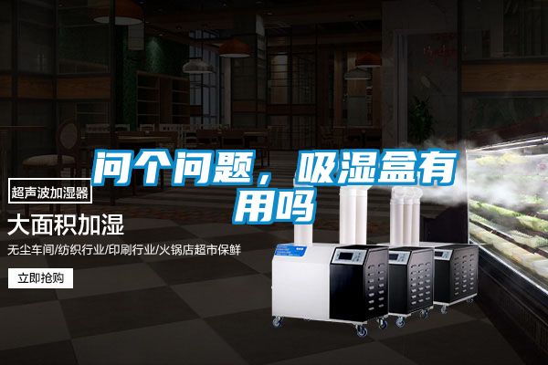 问个问题，吸湿盒有用吗