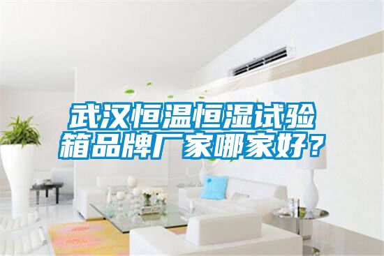 武汉恒温恒湿试验箱品牌厂家哪家好？