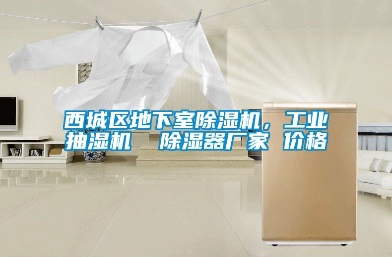 西城区地下室粉色视频免费在线观看，工业抽湿机  除湿器厂家 价格