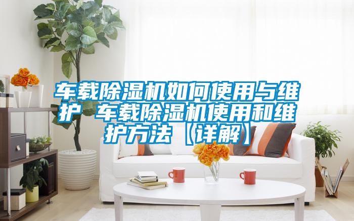 车载粉色视频免费在线观看如何使用与维护 车载粉色视频免费在线观看使用和维护方法【详解】