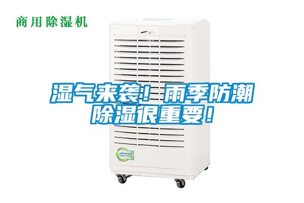 湿气来袭！雨季防潮除湿很重要！