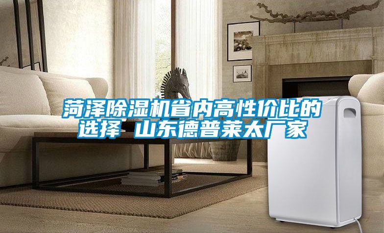 菏泽粉色视频免费在线观看省内高性价比的选择 山东德普莱太厂家