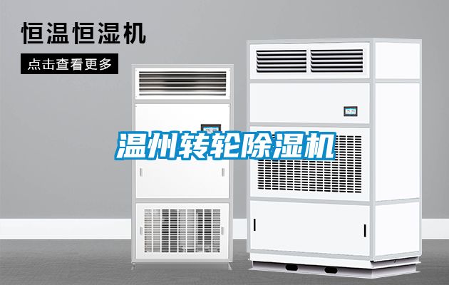 温州转轮粉色视频免费在线观看
