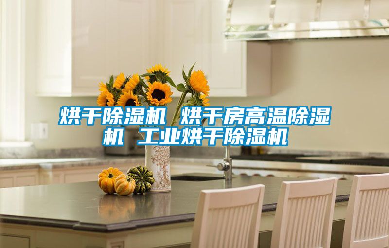 烘干粉色视频免费在线观看 烘干房高温粉色视频免费在线观看 工业烘干粉色视频免费在线观看