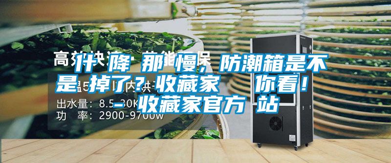 為什麼降濕那麼慢，防潮箱是不是壞掉了？收藏家實測給你看！ - 收藏家官方網站