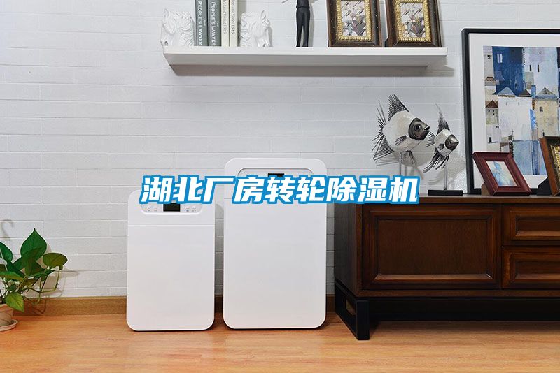 湖北厂房转轮粉色视频免费在线观看