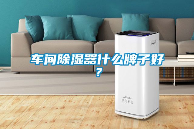 车间除湿器什么牌子好？