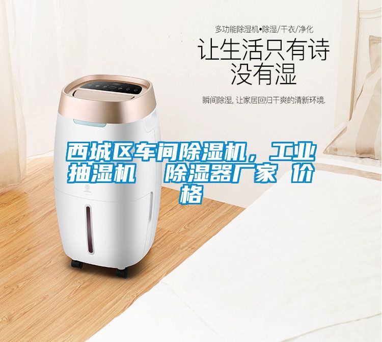 西城区车间粉色视频免费在线观看，工业抽湿机  除湿器厂家 价格