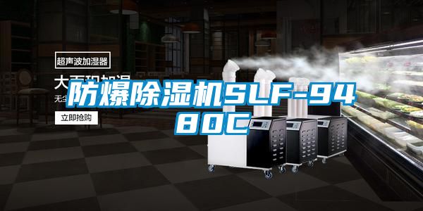 防爆粉色视频免费在线观看SLF-9480C