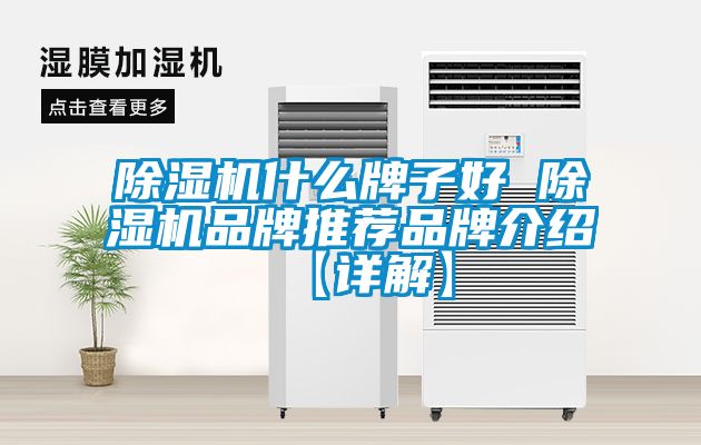 粉色视频免费在线观看什么牌子好 粉色视频免费在线观看品牌推荐品牌介绍【详解】
