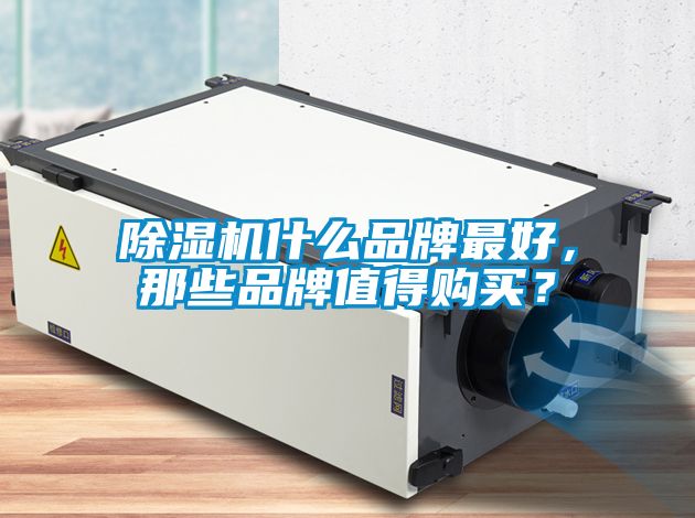 粉色视频免费在线观看什么品牌最好，那些品牌值得购买？