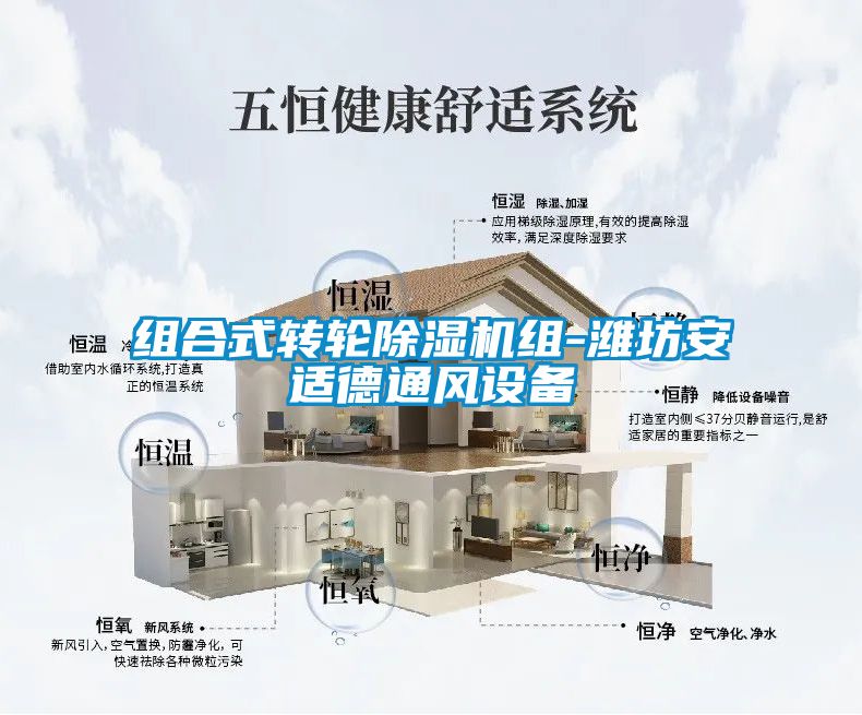 组合式转轮粉色视频免费在线观看组-潍坊安适德通风设备