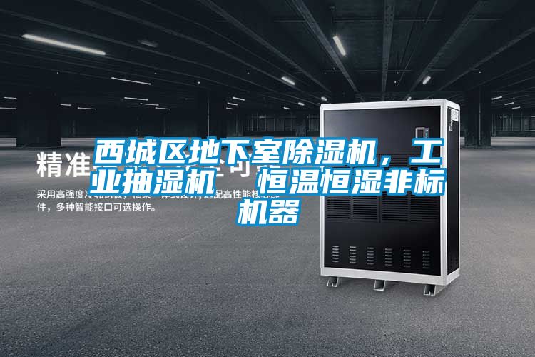 西城区地下室粉色视频免费在线观看，工业抽湿机  恒温恒湿非标机器