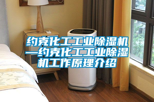 约克化工工业粉色视频免费在线观看—约克化工工业粉色视频免费在线观看工作原理介绍