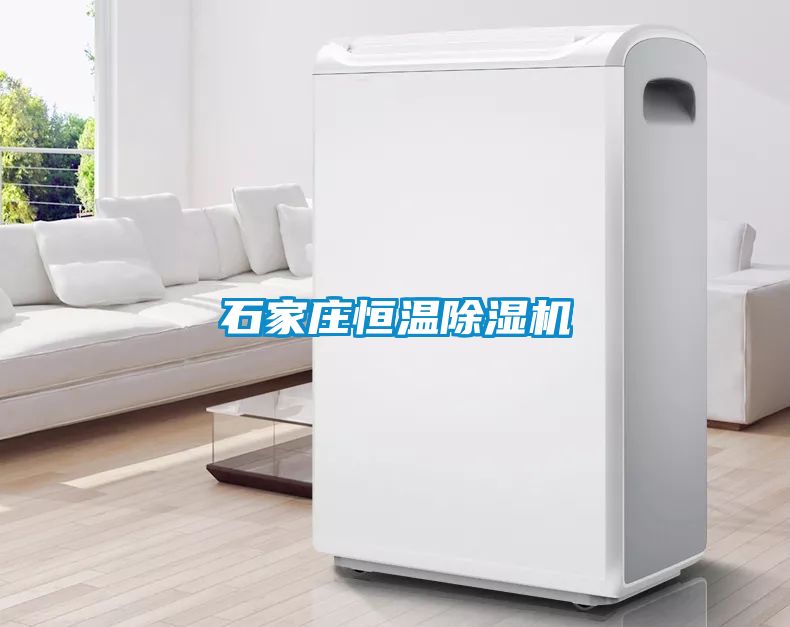 石家庄恒温粉色视频免费在线观看