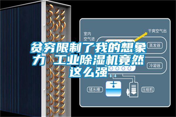 贫穷限制了我的想象力 工业粉色视频免费在线观看竟然这么强