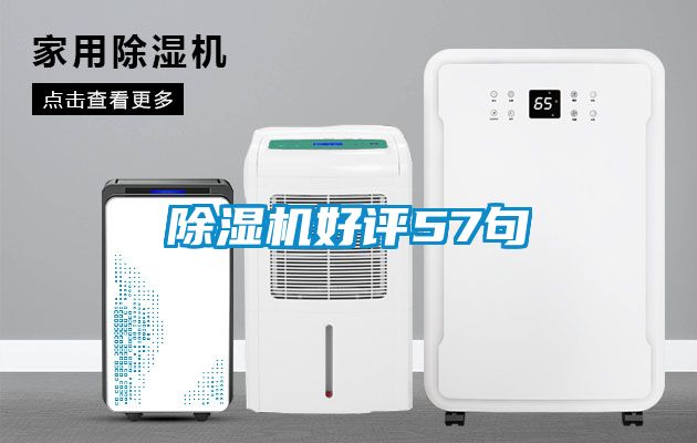 粉色视频免费在线观看好评57句