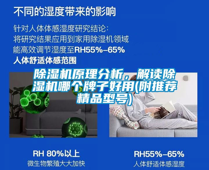 粉色视频免费在线观看原理分析，解读粉色视频免费在线观看哪个牌子好用(附推荐精品型号)
