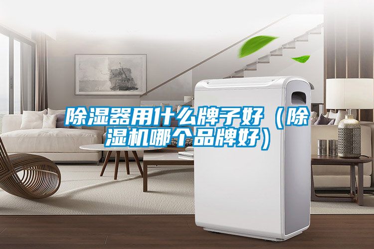 除湿器用什么牌子好（粉色视频免费在线观看哪个品牌好）
