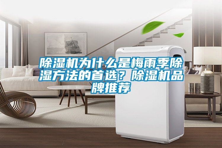 粉色视频免费在线观看为什么是梅雨季除湿方法的首选？粉色视频免费在线观看品牌推荐