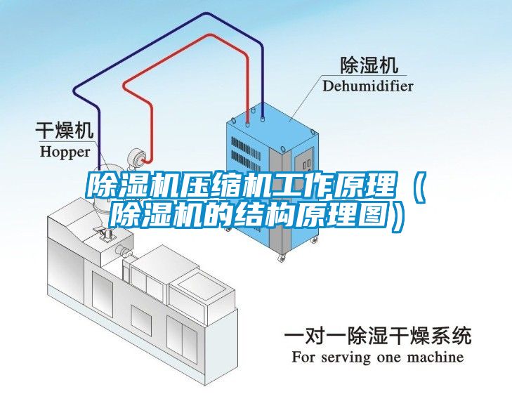 粉色视频免费在线观看压缩机工作原理（粉色视频免费在线观看的结构原理图）