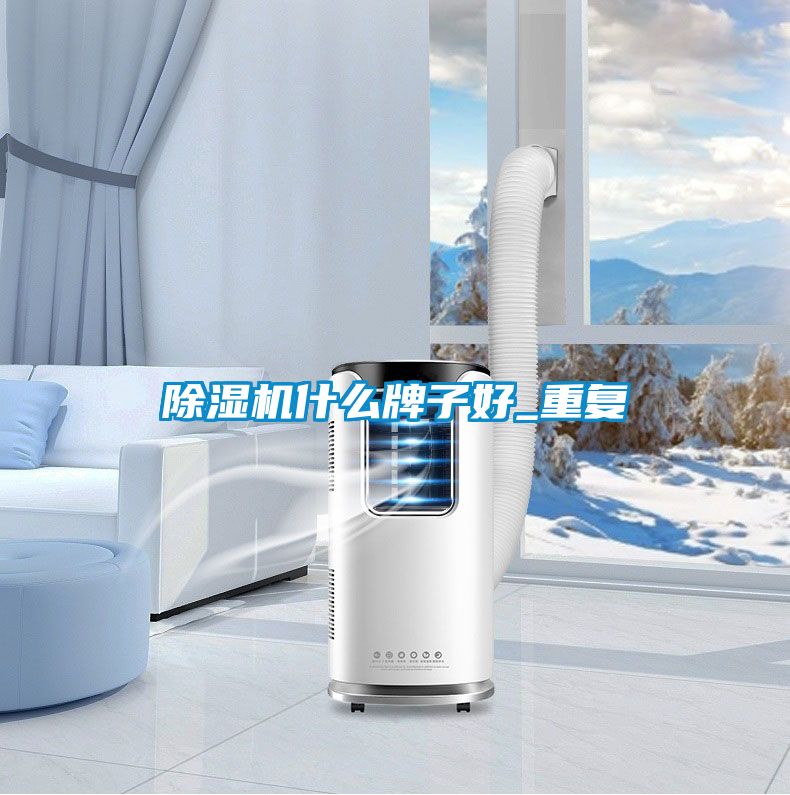 粉色视频免费在线观看什么牌子好_重复