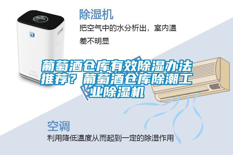葡萄酒仓库有效除湿办法推荐？葡萄酒仓库除潮工业粉色视频免费在线观看