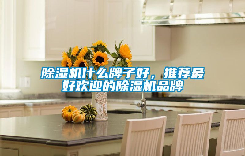 粉色视频免费在线观看什么牌子好，推荐最好欢迎的粉色视频免费在线观看品牌